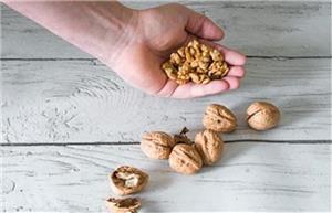 گردو برای سم زدایی از کبد مفید است