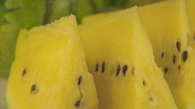 هندوانه آناناسی چه خاصیت هایی دارد