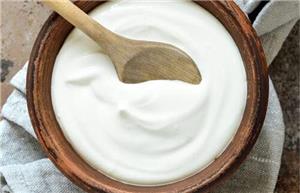 ماست از روده بزرگ سم زدایی می کند