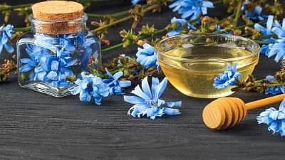 با خاصیت های عرق کاسنی آشنا شوید