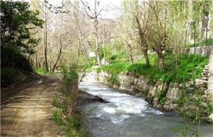 روستای کردان م حل خوبی برای رفتن به پیک نیک است