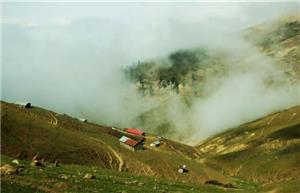 پیک نیک در دشت هویج بسیار فرح بخش است