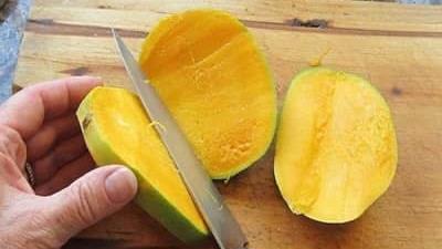 هسته انبه چه خاصیت هایی دارد