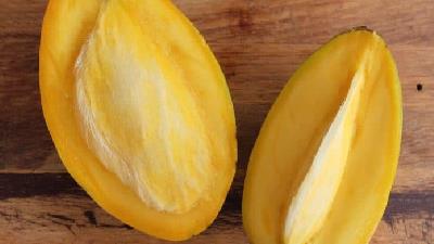 هسته انبه برای درمان چه بیماری هایی خوب است