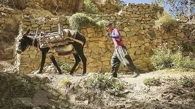 چه زمانی برای سفر به روستای واریان مناسب است