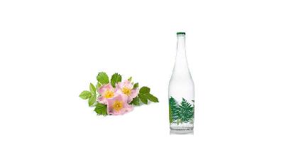 عرق نسترن چه فایده هایی دارد