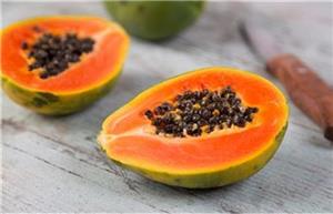 پاپایا از جمله میوه های مفید برای هضم غذا است