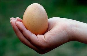 تخم مرغ به تامین کلاژن پوست کمک می کند