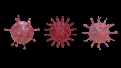 واکسن کرونا چه تاثیری روی سویه لامبدا دارد