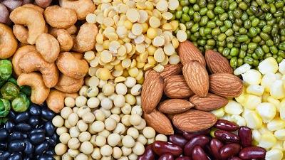 چه موادی ضد مغذی هستند