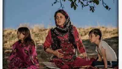 عکسی از فیلم درخت گردو