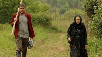 عکسی از سریال در کنار پروانه ها