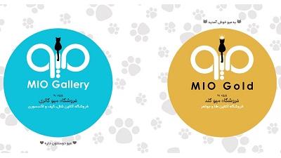 انواع لباس های زنانه و دخترانه را اینترنتی و آنلاین سفارش بدهید