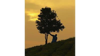 مسعود در سریال افرا