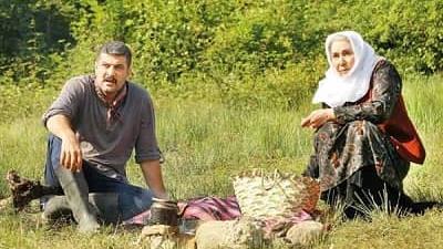 برای رهی در پایان سریال در کنار پروانه ها چه اتفاقاتی رخ می دهد