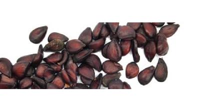 با خاصیت های به دانه یا هسته به آشنا شوید