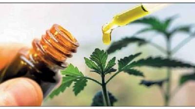 برای درمان کرونا از چه گیاهان دارویی استفاده کنیم