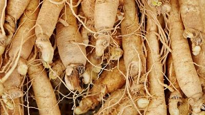 جنسینگ اصل را از چه فروشگاهی به صورت اینترنتی تهیه کنیم