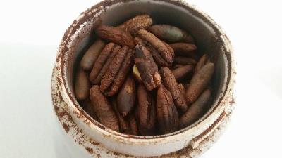 پودر هسته خرما برای رفع چه مشکلاتی خوب است