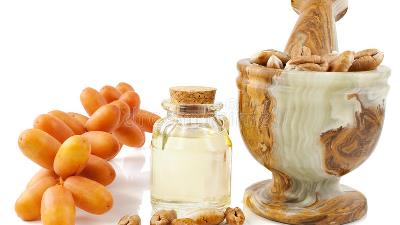 روغن هسته خرما چه فایده هایی دارد