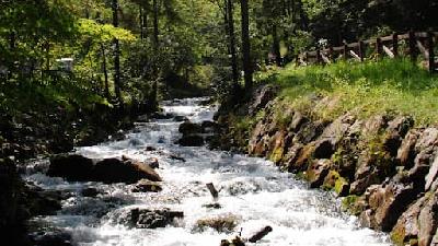 شهر جویبار کجای استان مازندران است