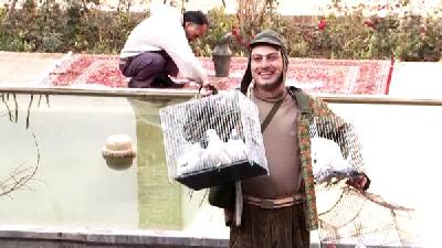 عکسی از سریال همه خانواده من