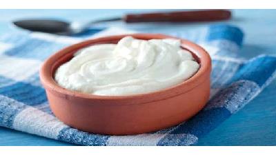 کدام نوع ماست مفیدتر است