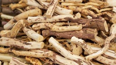 درخت مسواک چه نوع گیاهی است