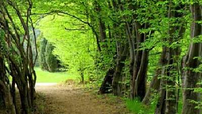 آدرس روستای کوته کومه در شهر آستارا