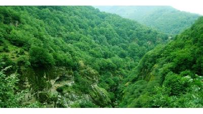 پارک جنگلی بی بی یانلو بسیار دیدنی است