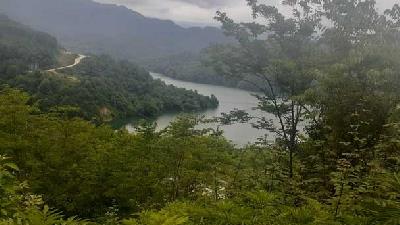 پیاده روی در جنگل لفور بسیار لذت بخش است