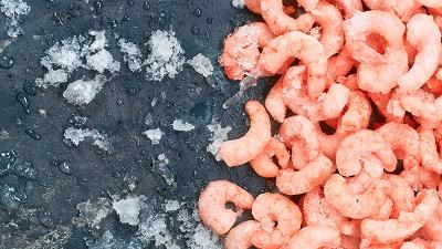 بهترین روش نگهداری میگو در فریزر چیست