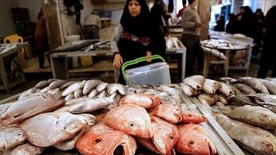 غذای دریایی جنوبی چی بپزیم