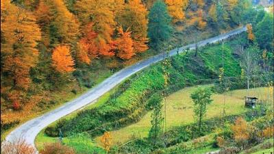 راهنمای سفر به جاده سیاهکل دیلمان را بخوانید