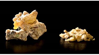 ترنجبین چه خواص و کاربردهایی دارد