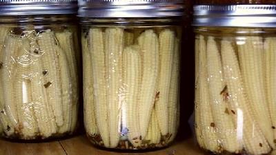 طرز تهیه خانگی ترشی بلال ریز چگونه است