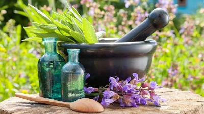 مسکن های گیاهی برای دردهای مختلف کاربرد دارد