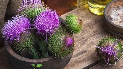 مصرف خار مریم باعث لاغری می شود