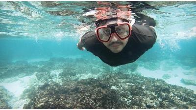 از غئاصی در جزیره شیدرو لذت ببرید