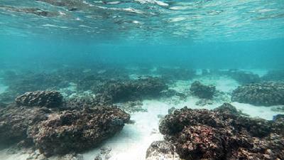 سفر به جزیره مارد در استان هرمزگان بسیار لذت بخش است