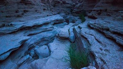 دره جنی در نزدیکی طبس قرار دارد