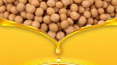 روغن سویا برای پوست چه فایده هایی دارد