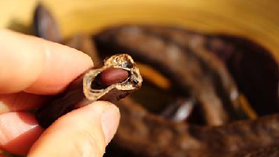 خرنوب خاصیت های بسیار زیادی دارد