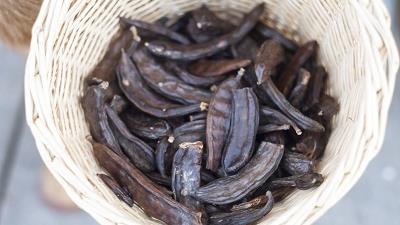 از گیاه خرنوب چه استفاده هایی می شود