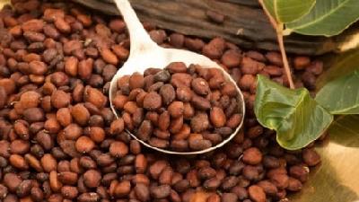 گیاه خرنوب را چگونه مصرف کنیم