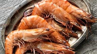 غذا با میگو چی بپزیم