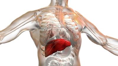 تغییر ناگهانی وزن از نشانه های کبد چرب است