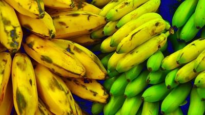 فرق موز و پلانتین را چگونه تشخیص بدهیم