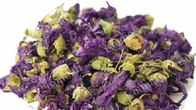 گل ختمی برای سنگ کلیه و معده درد مفید است