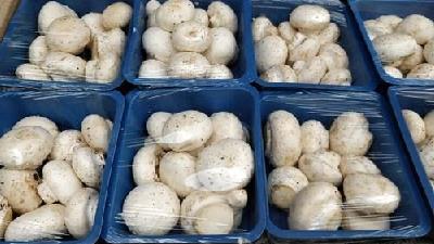 مواد لازم برای مربای قارچ چیست